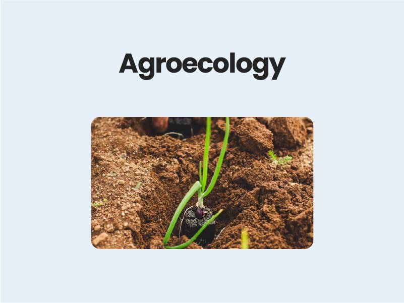 Agroecology