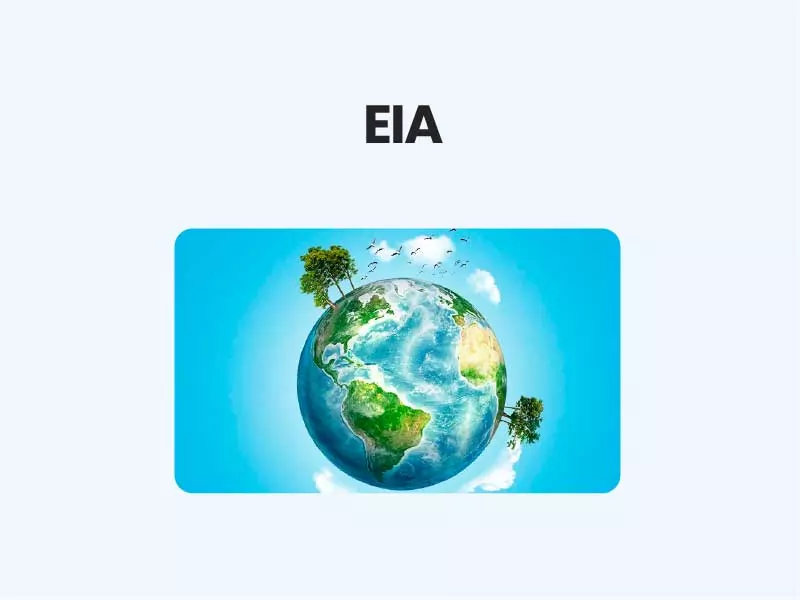 Environmental Impact Assessment (EIA)