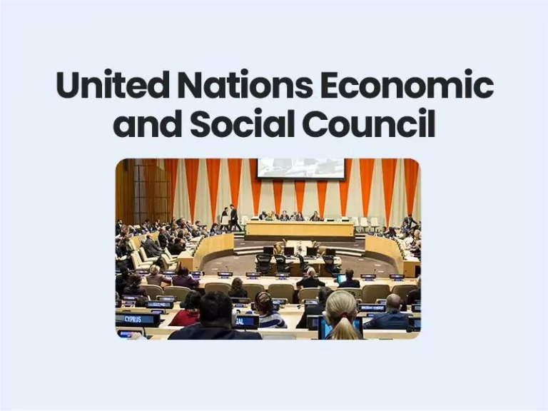 United Nations Economic and Social Council