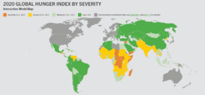 global hunger index