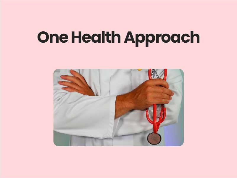 One Health Approach