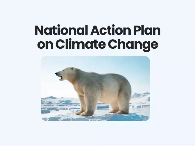 National Action Plan on Climate Change