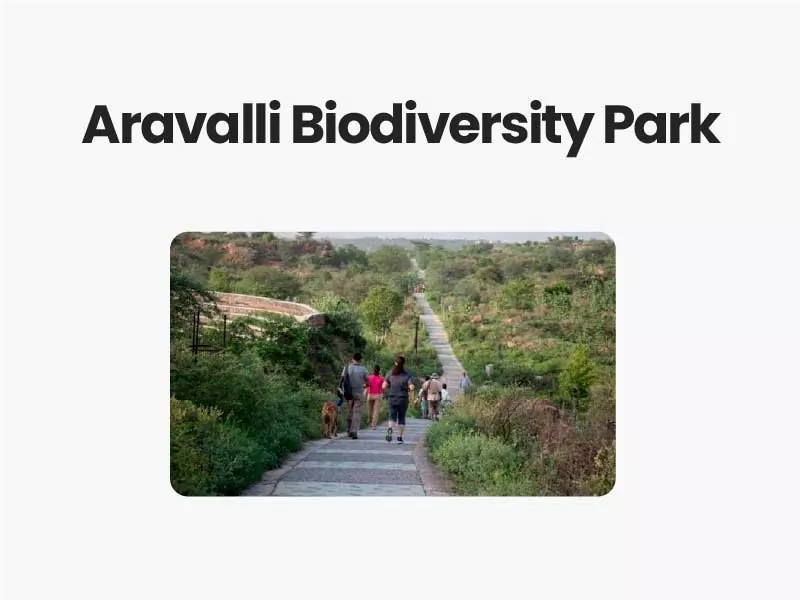 Aravalli Biodiversity Park